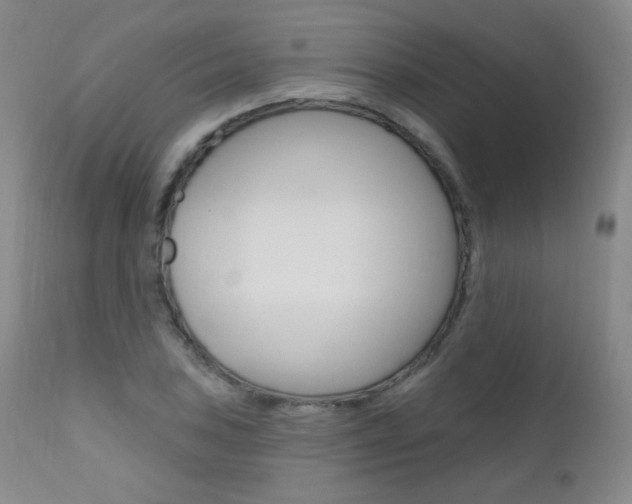 X0000111581027200907161151
