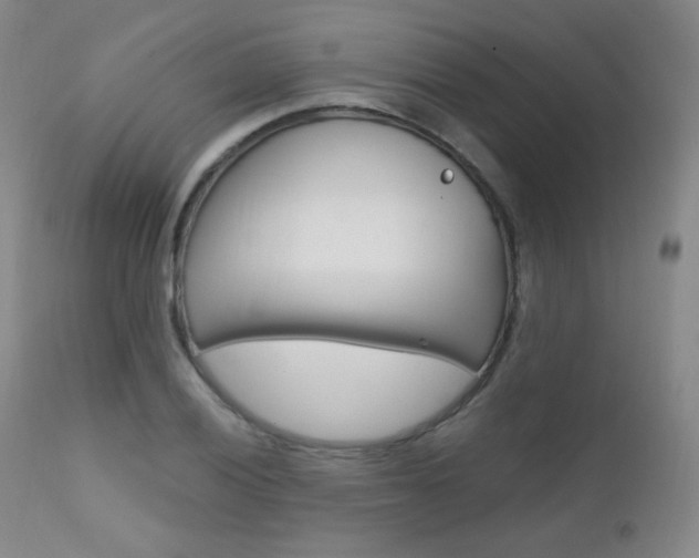 X0000111581028200907161151
