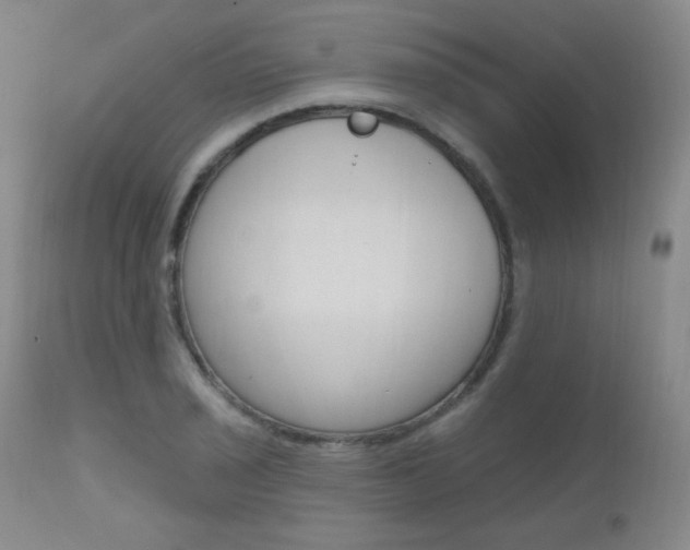 X0000111581029200907161151