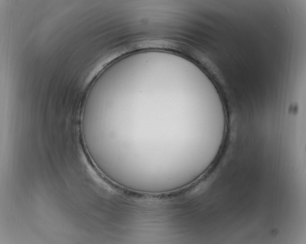 X0000111581033200907161151