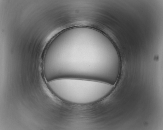 X0000111581034200907161151