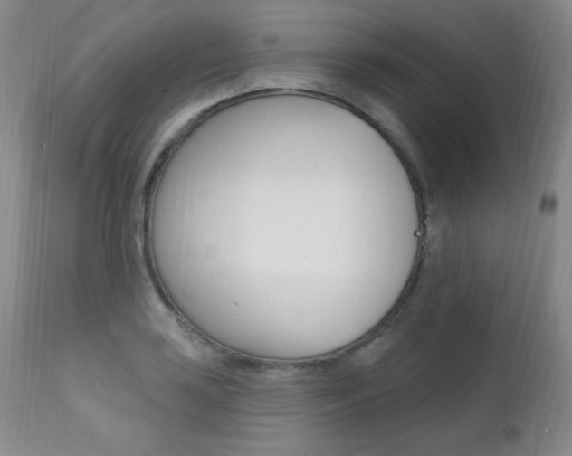 X0000111581035200907161151