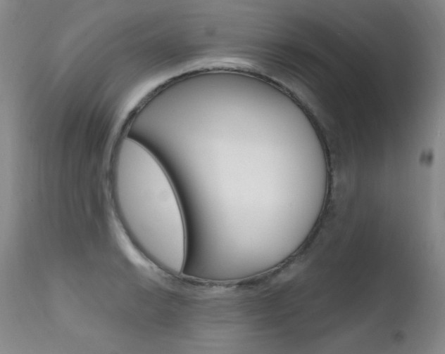 X0000111581038200907161151
