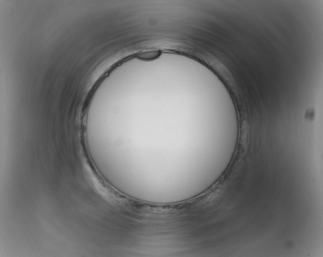X0000111581039200907161151