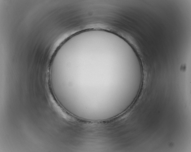 X0000111581040200907161151