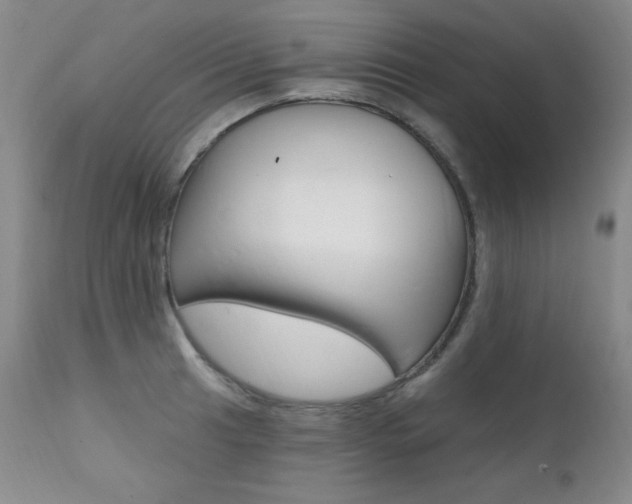 X0000111581041200907161151
