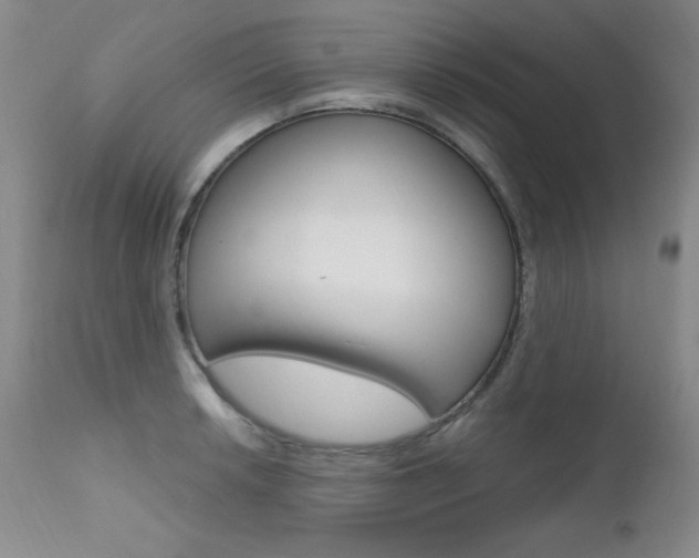 X0000111581042200907161151