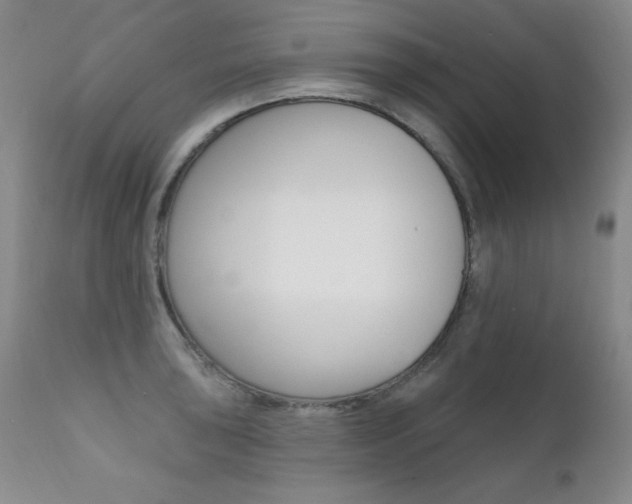 X0000111581043200907161151