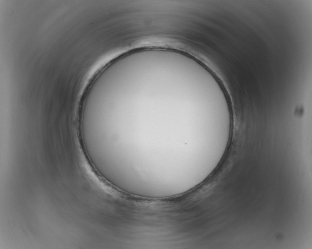 X0000111581045200907161151