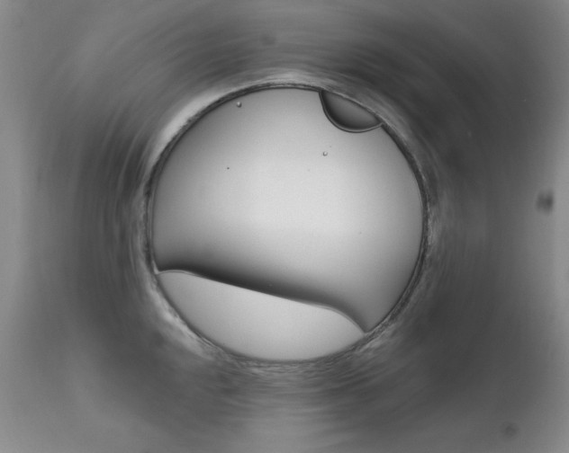 X0000111581048200907161151