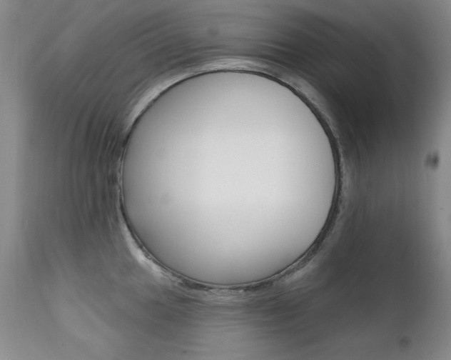 X0000111581049200907161151