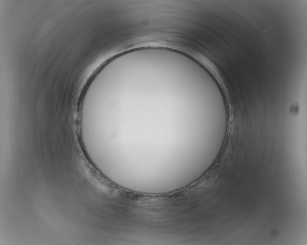 X0000111581051200907161151
