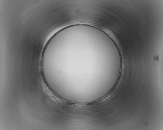 X0000111581052200907161151