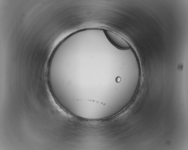 X0000111581053200907161151