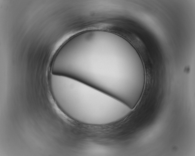 X0000111581054200907161151