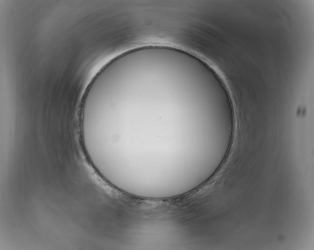 X0000111581056200907161151