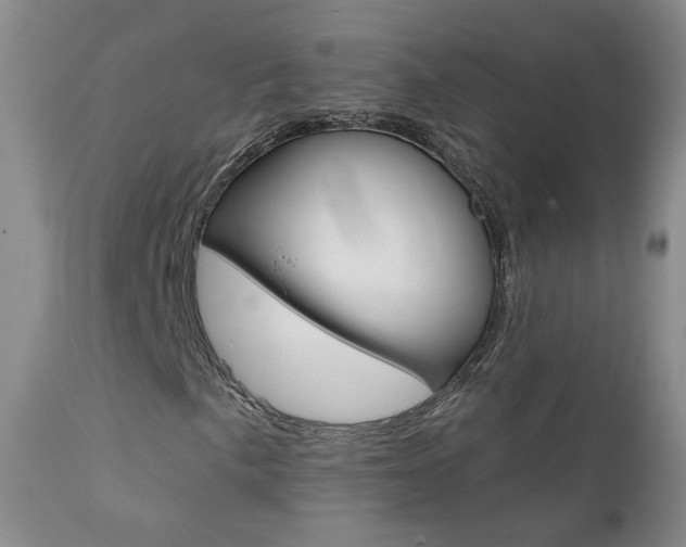 X0000111581057200907161150