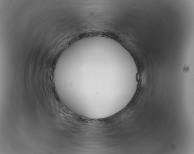 X0000111581059200907161150