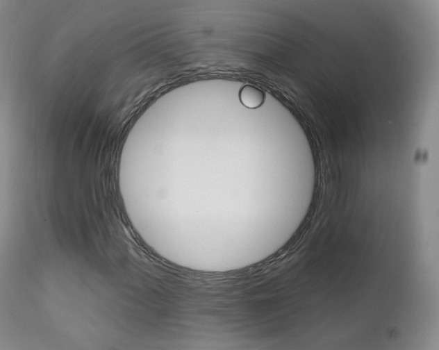 X0000111581060200907161150