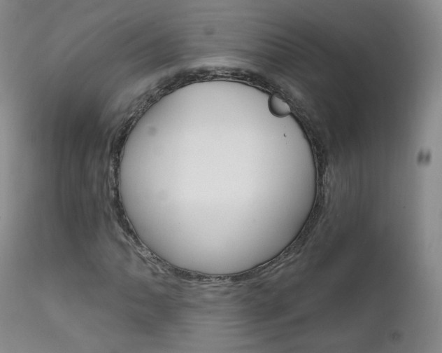 X0000111581062200907161150