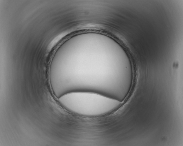 X0000111581066200907161150