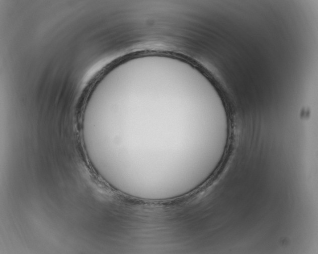 X0000111581070200907161150
