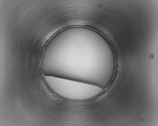 X0000111581073200907161150