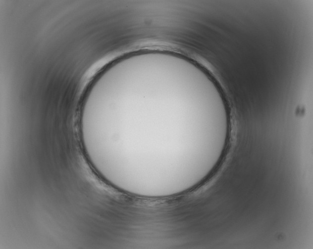 X0000111581074200907161150