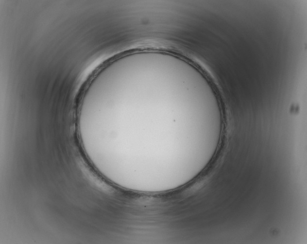 X0000111581075200907161150