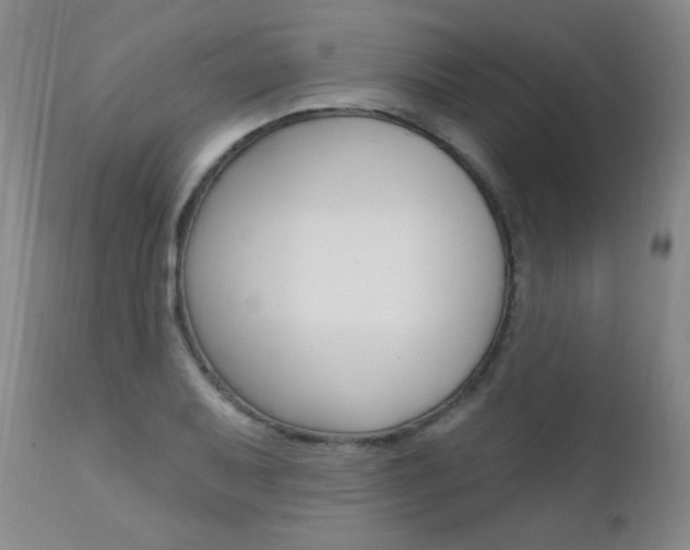 X0000111581079200907161150