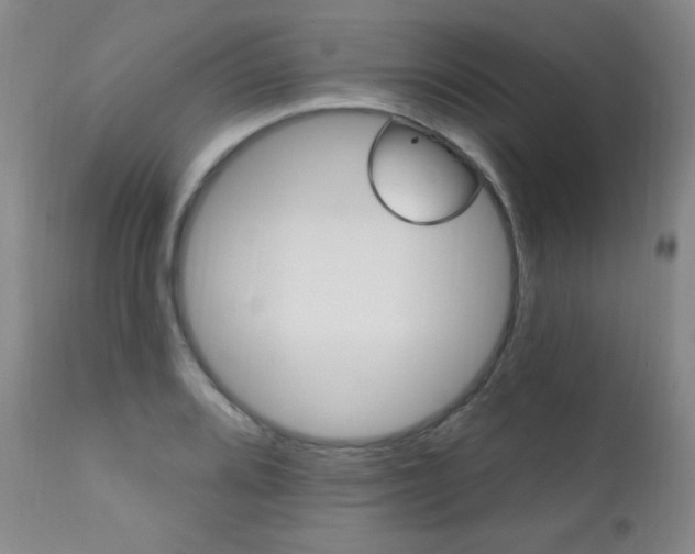 X0000111581080200907161150