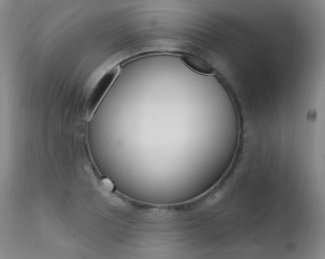 X0000111581081200907161150