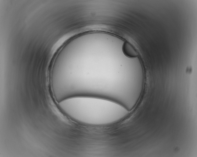 X0000111581082200907161150