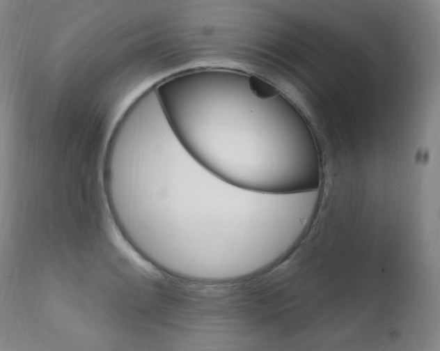 X0000111581084200907161150