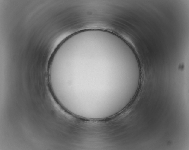 X0000111581087200907161150