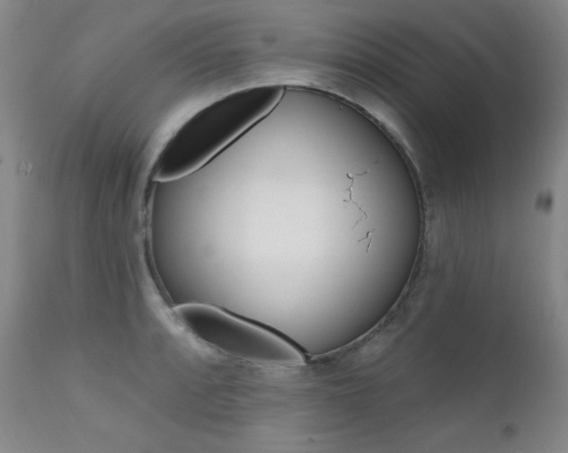 X0000111581088200907161150