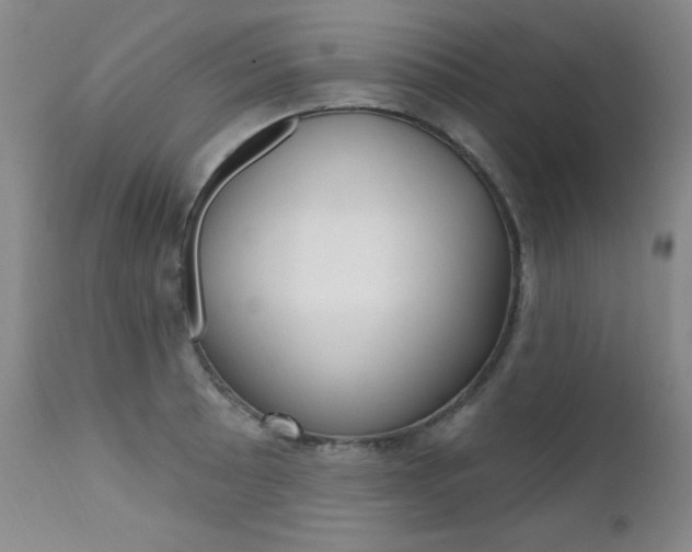 X0000111581089200907161150