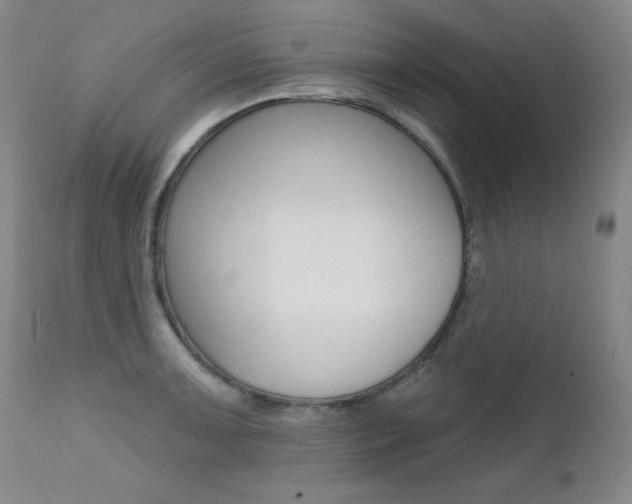 X0000111581091200907161150