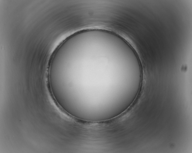 X0000111581093200907161150