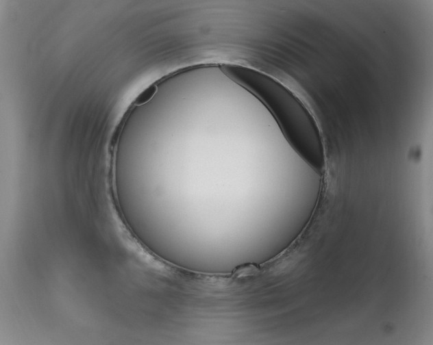 X0000111581096200907161150
