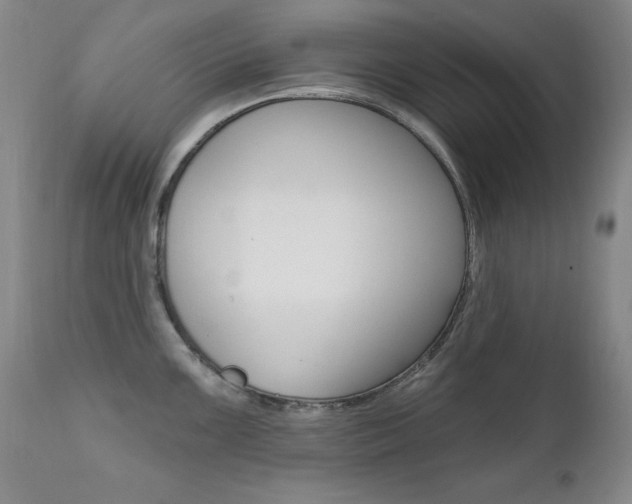 X0000111581099200907161150