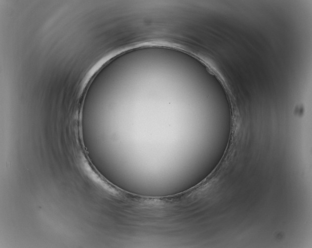 X0000111581100200907161150