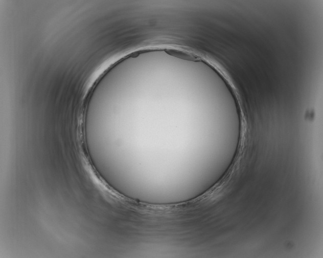 X0000111581101200907161150