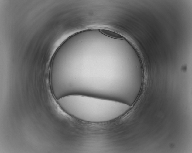 X0000111581102200907161150