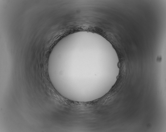 X0000111581105200907161149