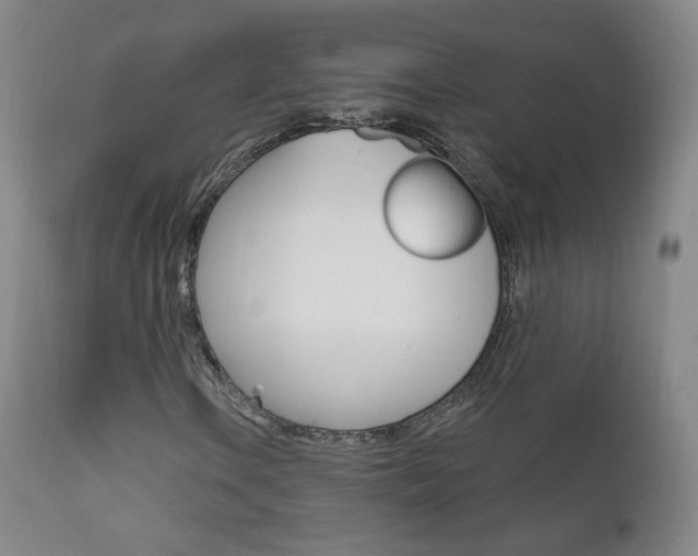 X0000111581106200907161149