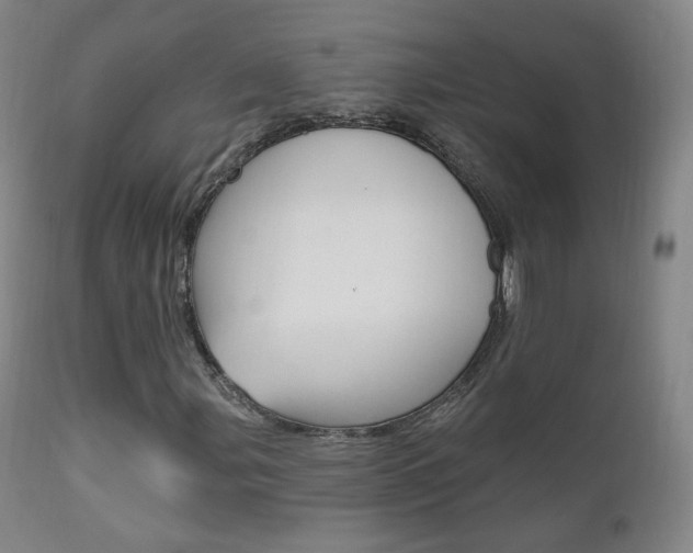 X0000111581107200907161149