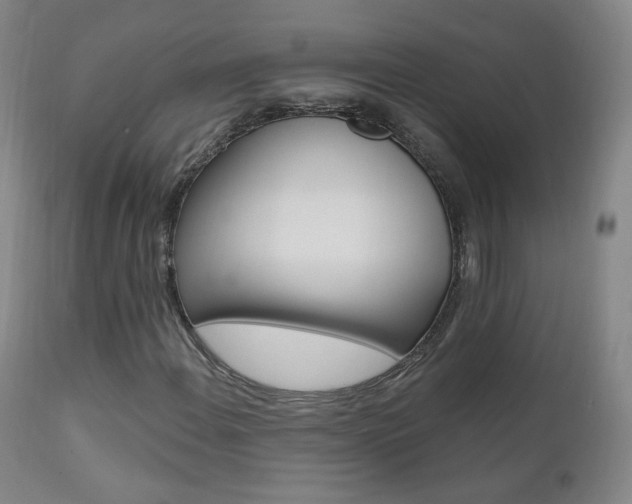 X0000111581108200907161149