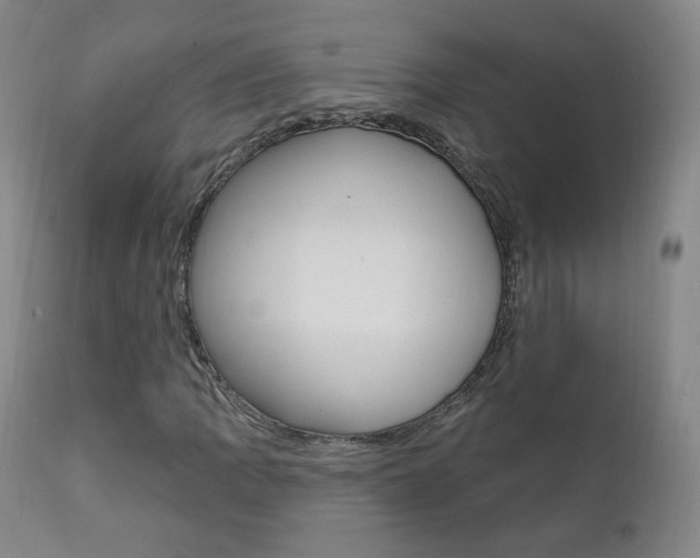 X0000111581109200907161149