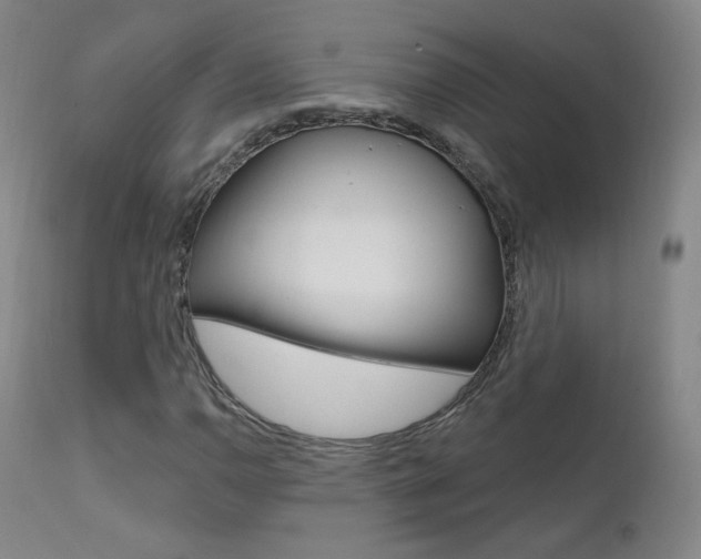 X0000111581110200907161149